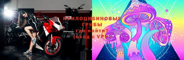 герыч Арсеньев