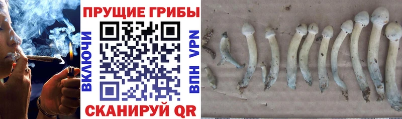 Псилоцибиновые грибы мухоморы  купить наркоту  Струнино 